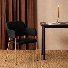 Lukka Velvet Dining Chairs [Set of 2]